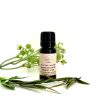 Cypress essential oil | שמן אתרי טהור ברוש אורגני