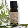 Cypress essential oil | שמן אתרי טהור ברוש אורגני