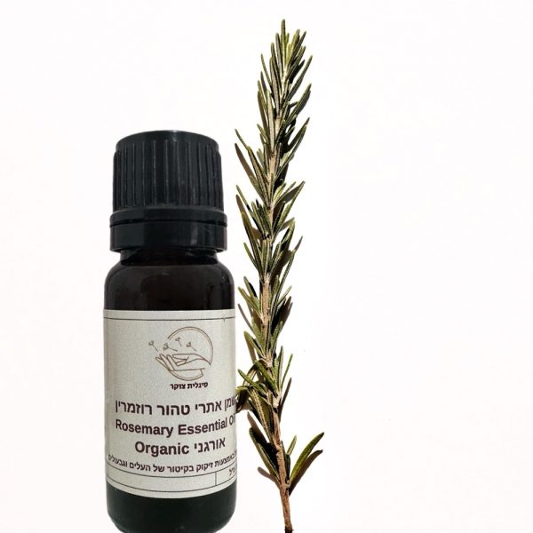 Rosemary Essential Oil Organic- שמן אתרי טהור רוזמרין